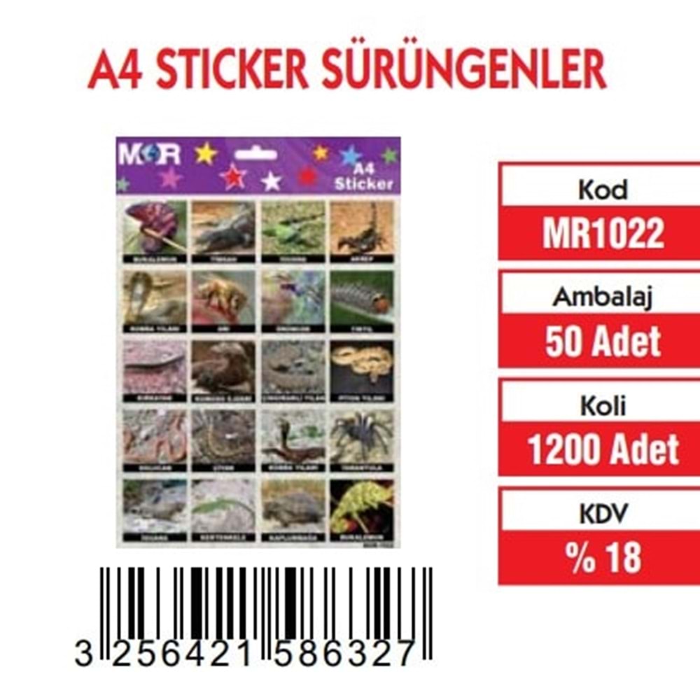 A-4 STİCKER SÜRÜNGEN HAYVANLAR