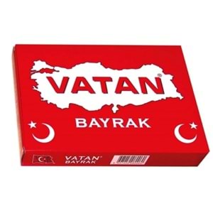20x30 cm TÜRK BAYRAĞI
