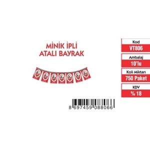 MİNİK İPLİ ATALI BAYRAK