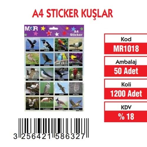 A-4 STİCKER KUŞLAR