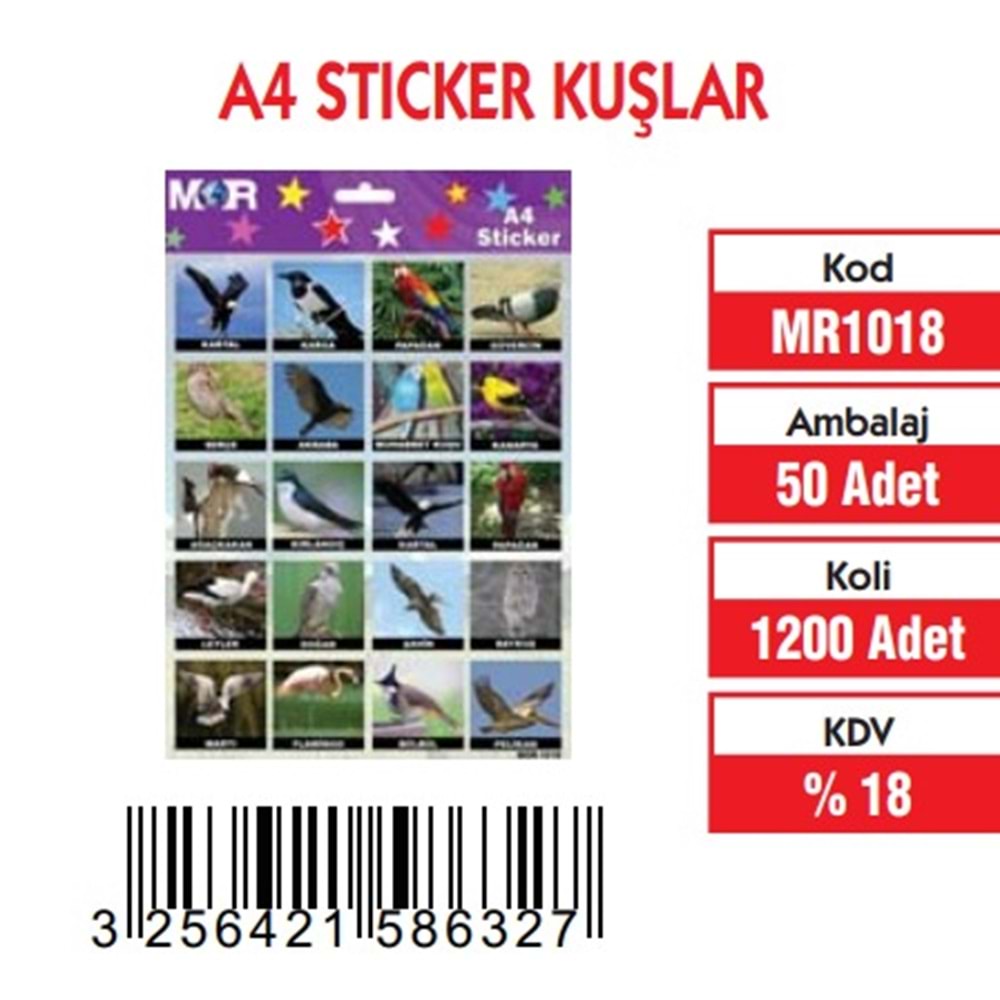 A-4 STİCKER KUŞLAR