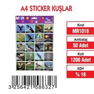 A-4 STİCKER KUŞLAR